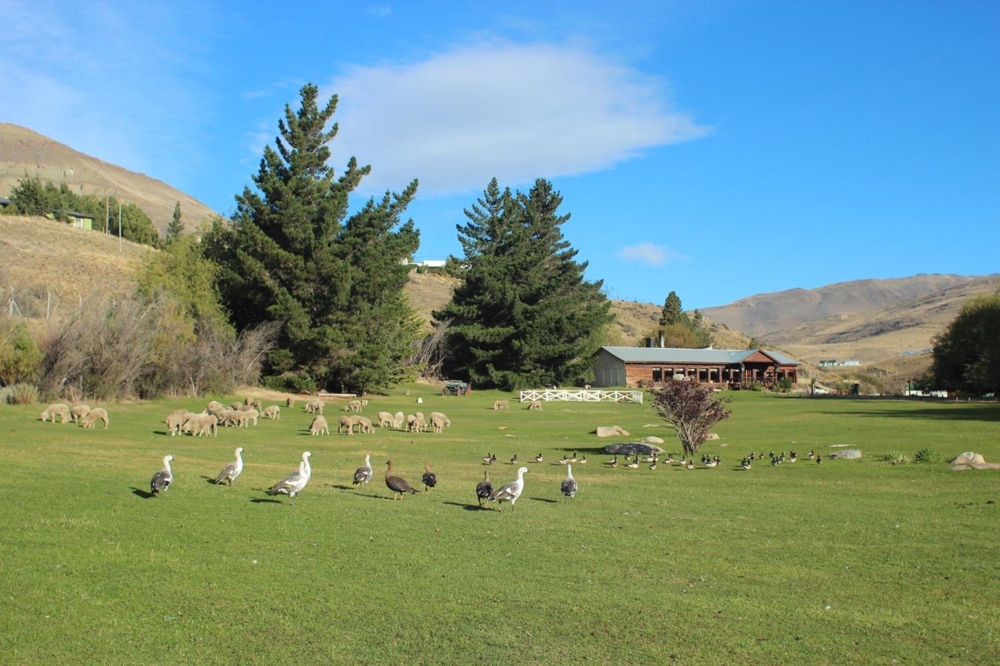 Kau Yatun Hotel Boutique El Calafate Exteriör bild